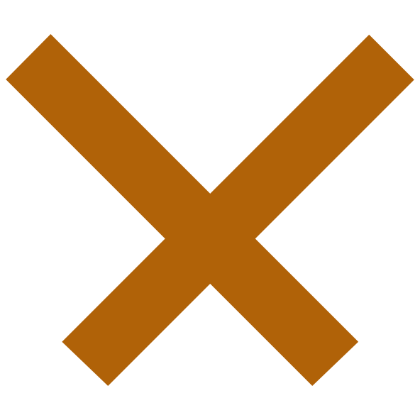 Painting Icon from Rapid Pro Roofing Logo