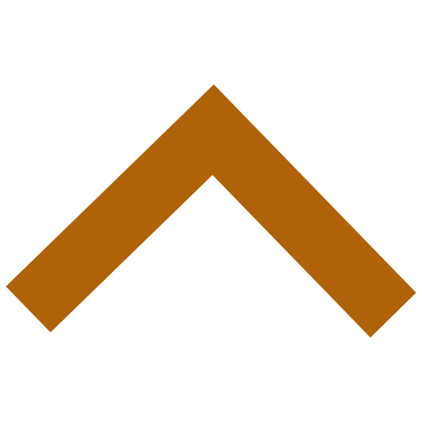 Roof icon from the logo of Rapid Pro Roofing